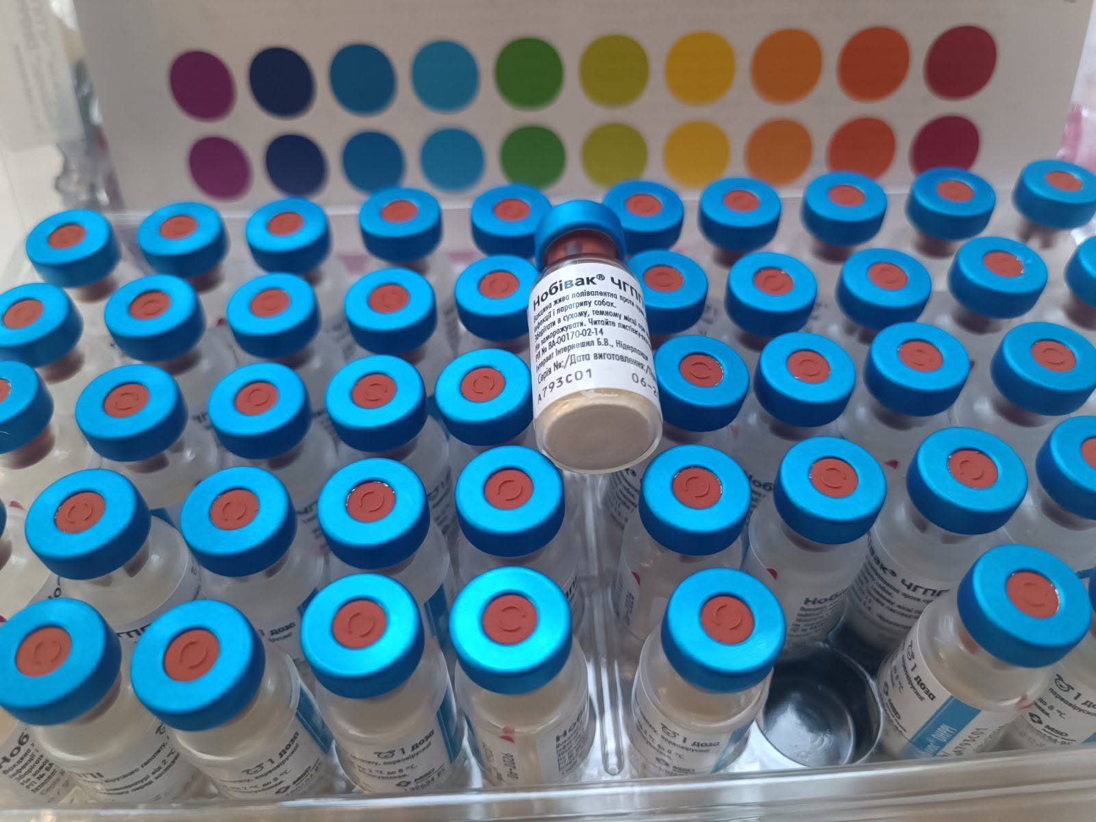 Svit-Agro Trading House donated 10,000 doses of Nobivac® DHPPi vaccine to support animal shelters and volunteer organizations in Ukraine