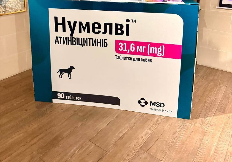 Allergy Day UA® by MSD Animal Health in Odesa